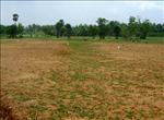 Residential Land in Pothanur, Coimbatore